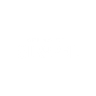 celmaicel (2)